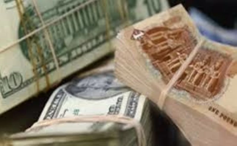 مصر: الدولار يخترق مستوى 50 جنيهاً