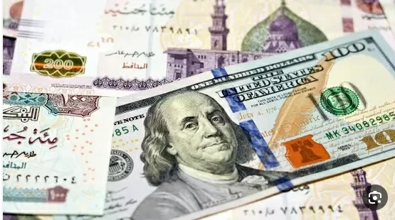 كم بلغ ارتفاع «الأخضر» في مصر ؟